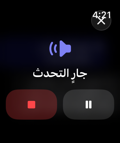 عناصر التحكم في الردود المنطوقة في RouterChat على Apple Watch