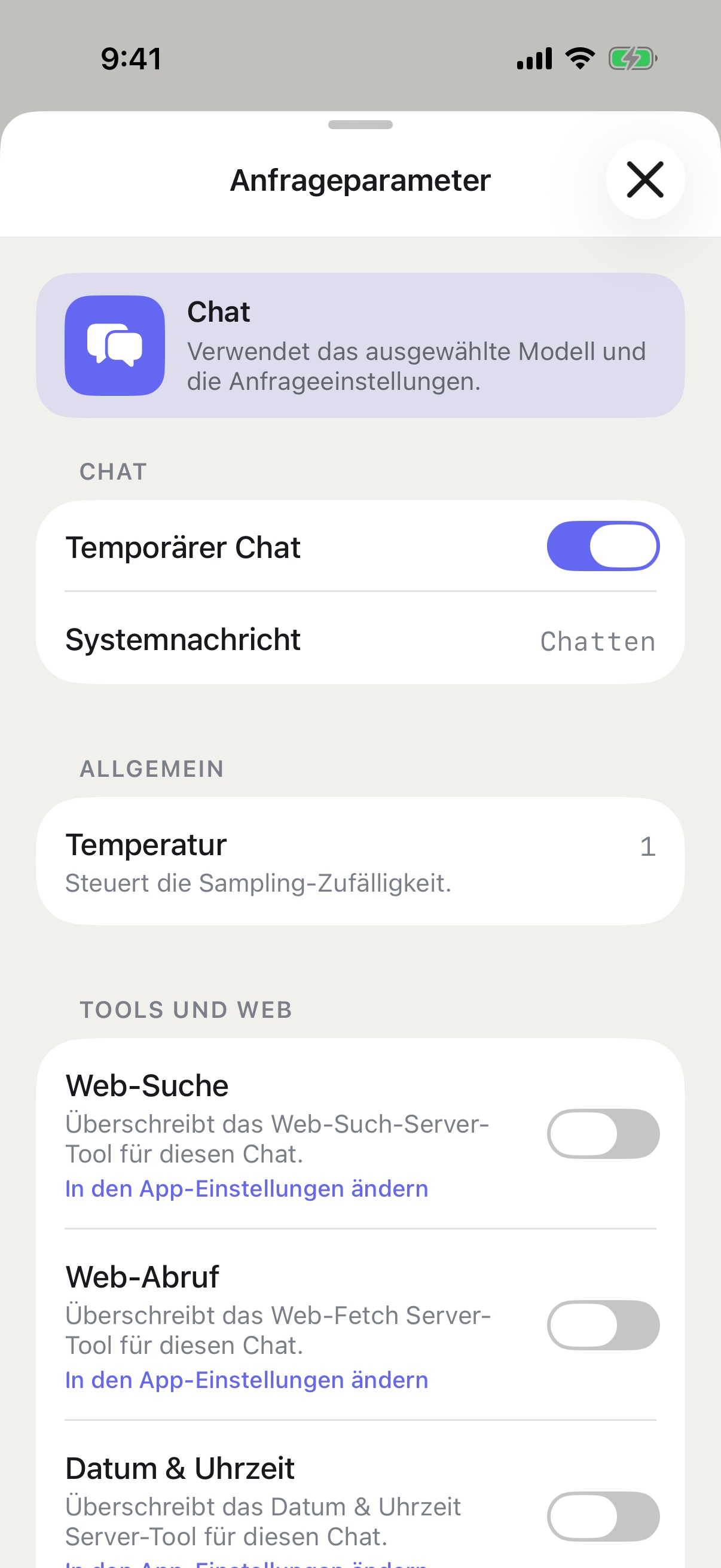 RouterChat-Anfrageparameter auf dem iPhone mit aktiviertem temporärem Chat