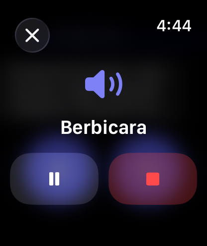 Kontrol respons lisan RouterChat di Apple Watch