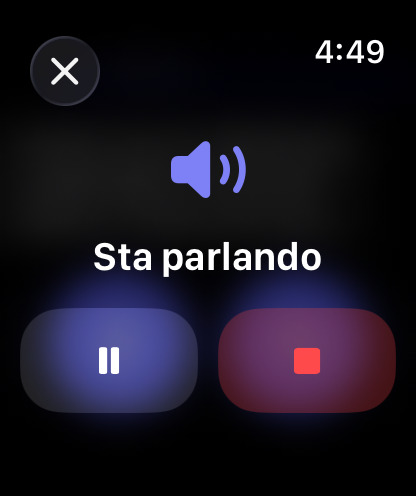 Controlli delle risposte vocali di RouterChat su Apple Watch