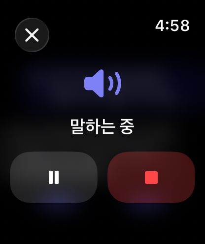 Apple Watch에서 RouterChat의 음성 응답 제어 기능