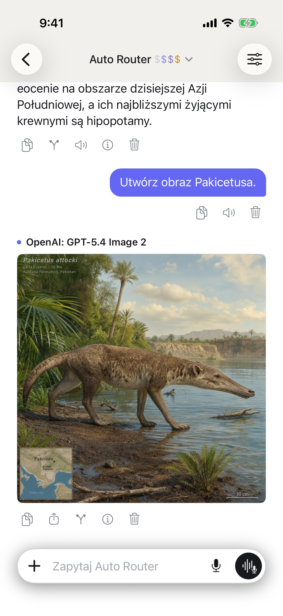 Rozmowa w RouterChat na iPhone
