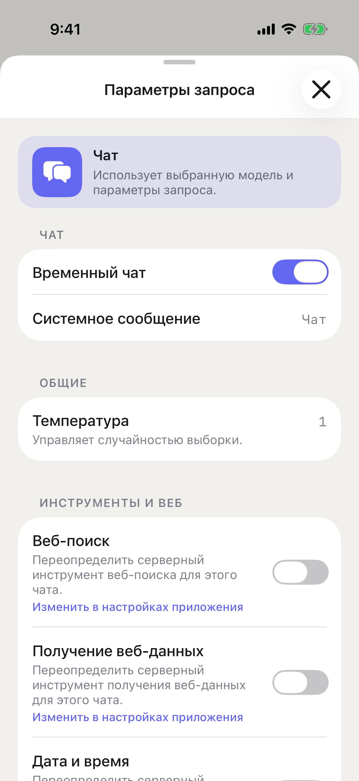 Параметры запроса RouterChat на iPhone с включённым временным чатом