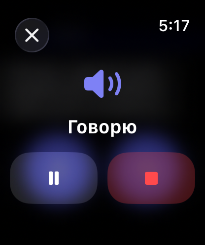 Элементы управления голосовыми ответами RouterChat на Apple Watch