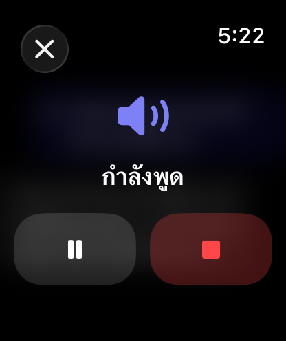 ส่วนควบคุมการตอบด้วยเสียงของ RouterChat บน Apple Watch