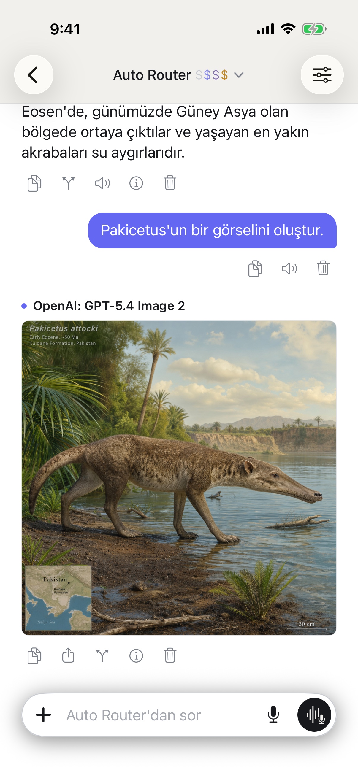 iPhone üzerinde RouterChat sohbeti