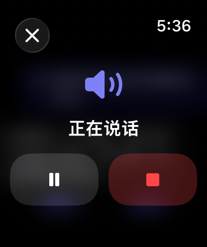 Apple Watch 上的 RouterChat 语音回复控制项