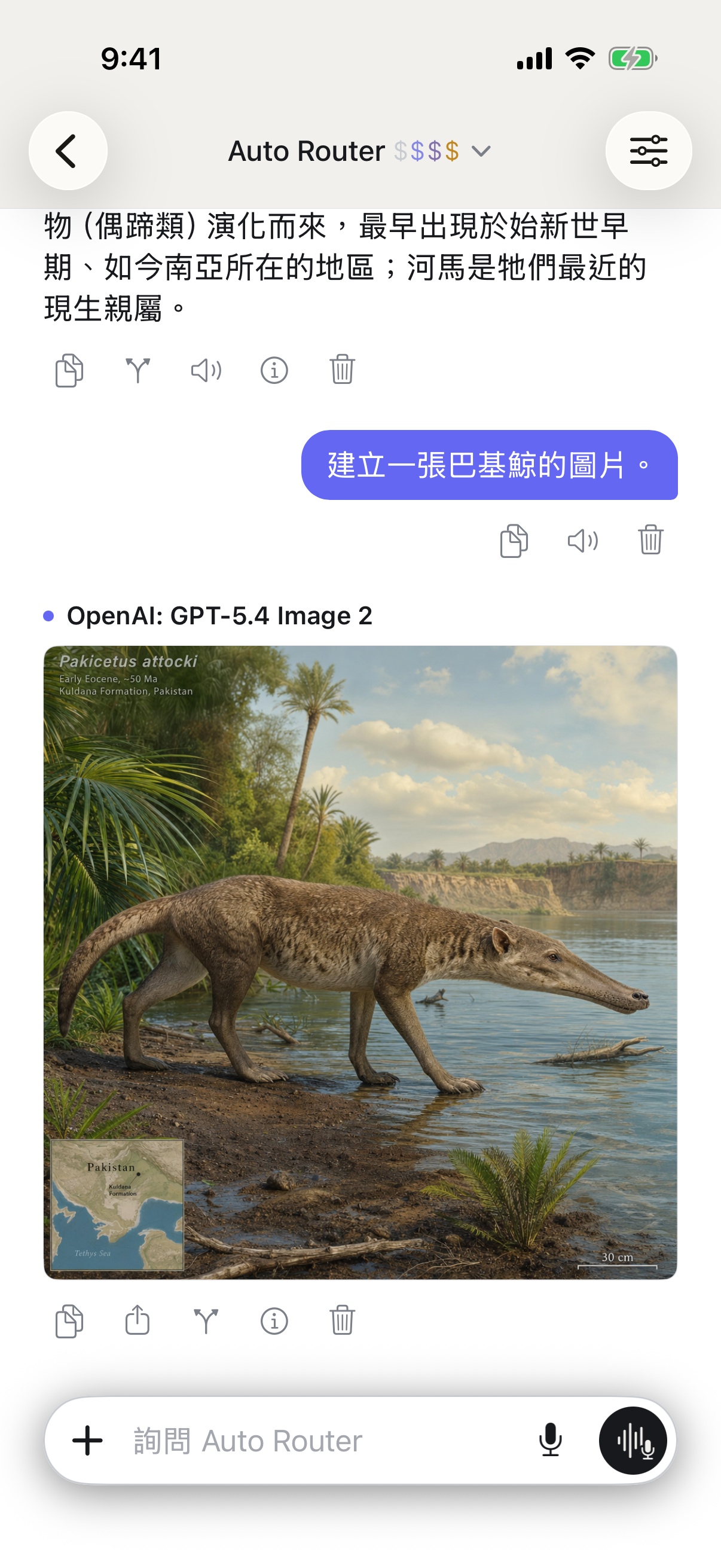 iPhone 上的 RouterChat 對話