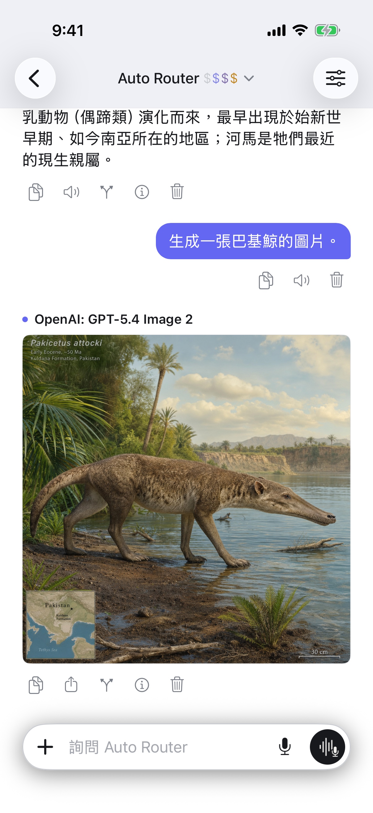 iPhone 上的 RouterChat 對話